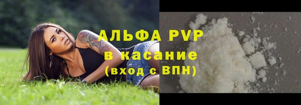 СК Каменногорск