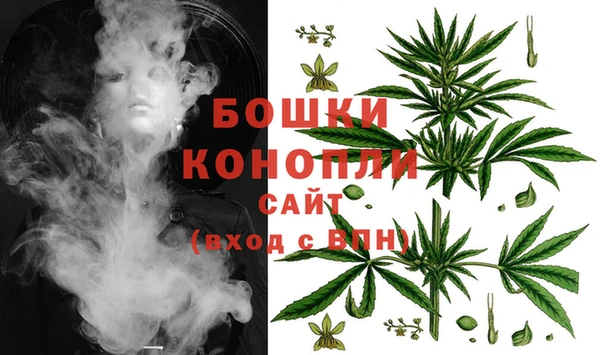дурь Инсар