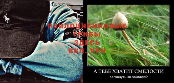 mix Иннополис