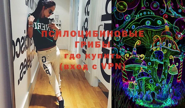 дурь Инсар