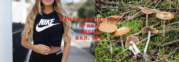 молекула духа Инта