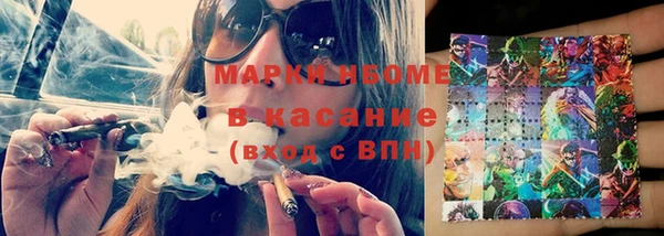 дурь Инсар