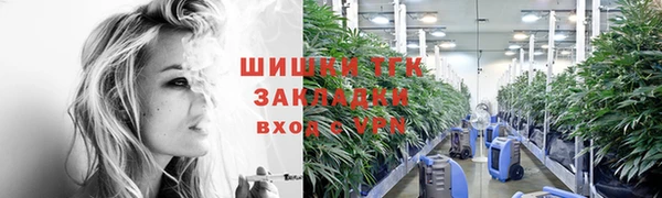 дурь Инсар
